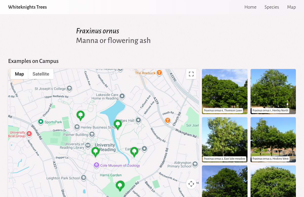 Example 2 of the new Whiteknights Trees website